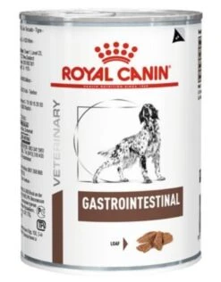 Royal Canin Gastro Intestinal