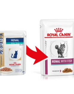 Royal Canin Voor Katten