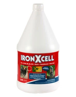 Iron X Cell 3,75L