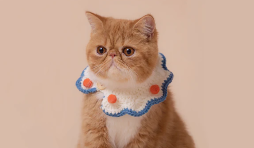 Huisdiergezondheidszorg Winkel -Huisdiergezondheidszorg Winkel 647c59f3cff045ea22329568a36d4fdc